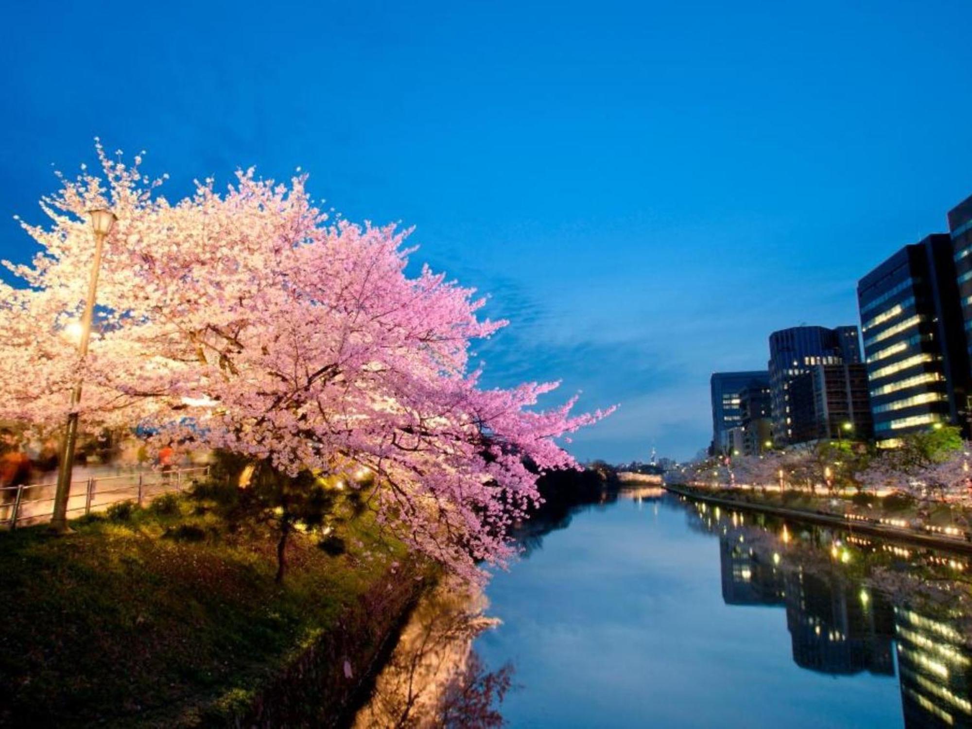 Hotel Resol Trinity Hakata Fukuoka  Luaran gambar